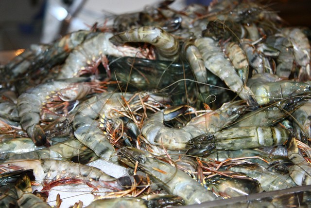 Seafood Night at Mosaic